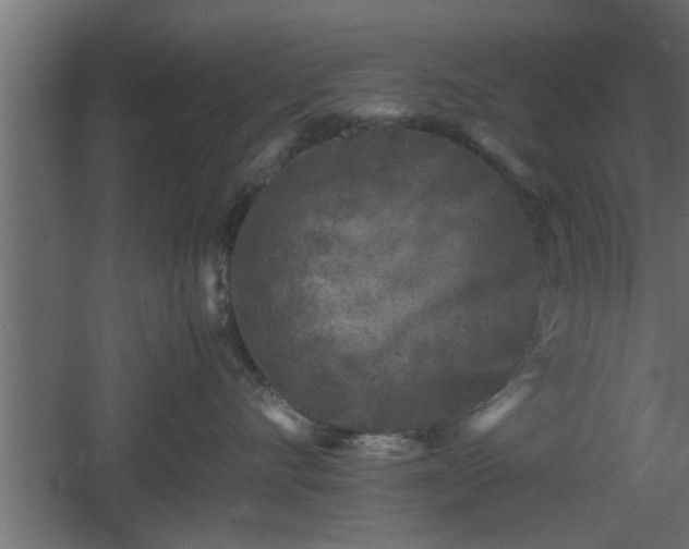 X0000060550528200511070924