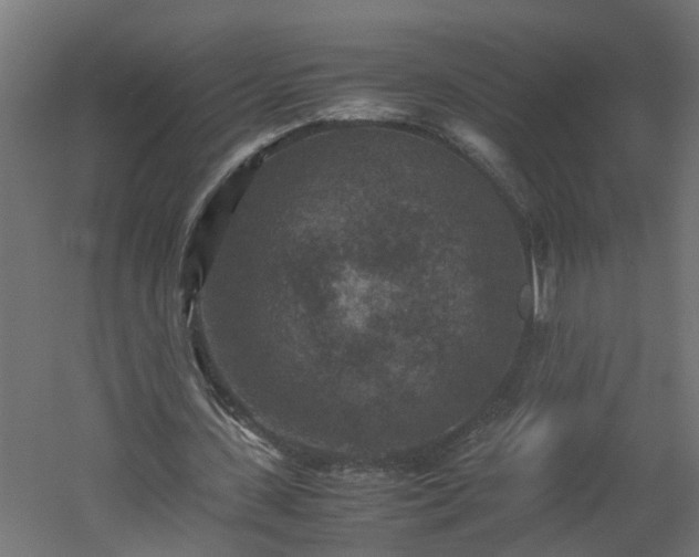X0000060550531200511070923