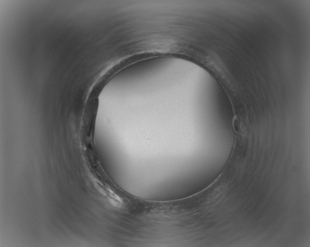 X0000060550532200511070923
