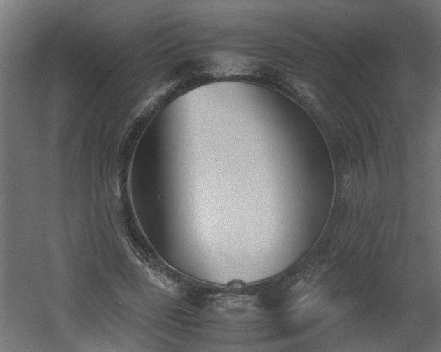 X0000060550539200511070924