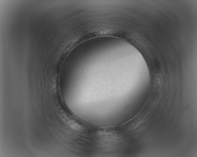 X0000060550545200511070924