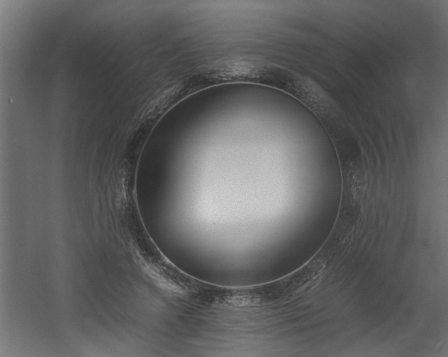 X0000060550546200511070924