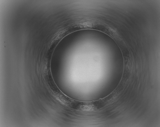 X0000060550548200511070924