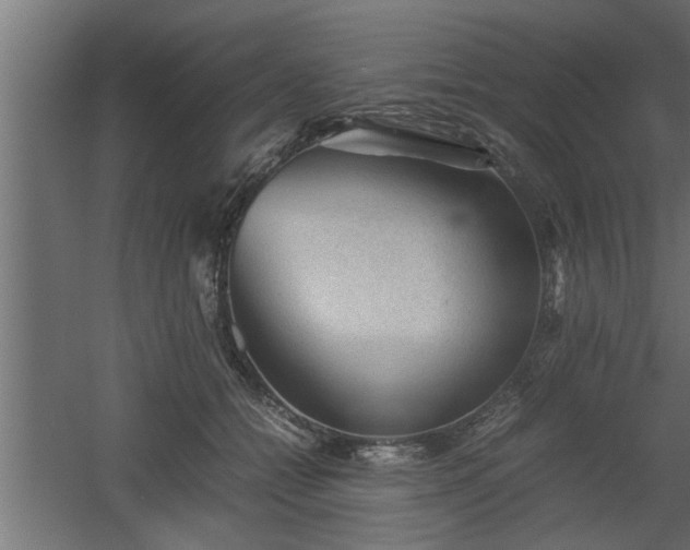 X0000060550558200511070924