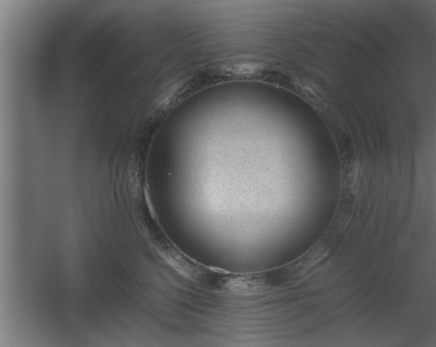 X0000060550568200511070924