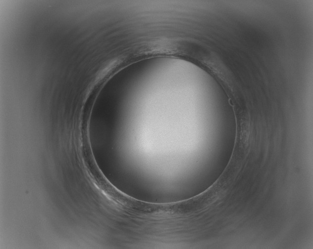 X0000060550578200511070923