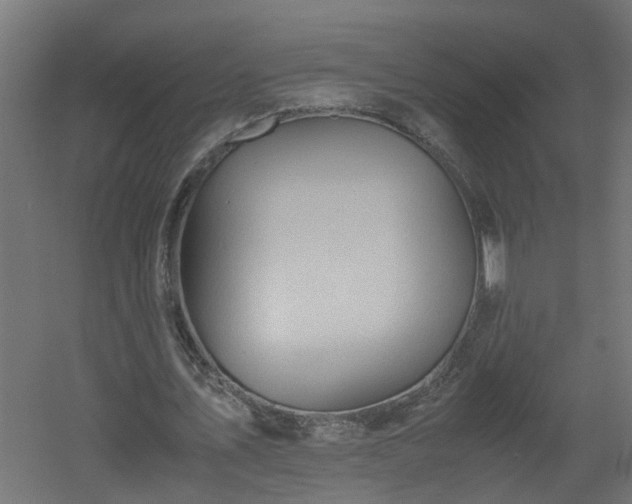 X0000060550579200511070923