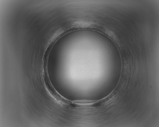 X0000060550582200511070923
