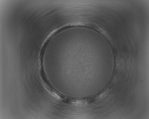 X0000060550584200511070923