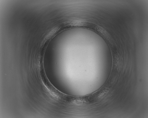X0000060550586200511070923