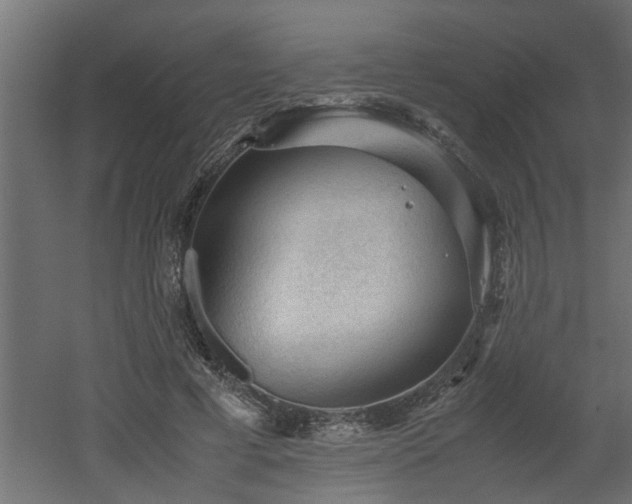 X0000060550593200511070923
