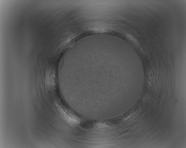 X0000060550596200511070923