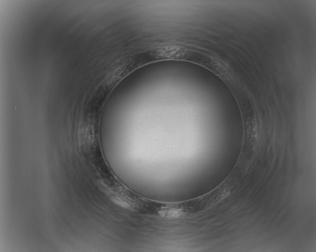 X0000060550602200511070923