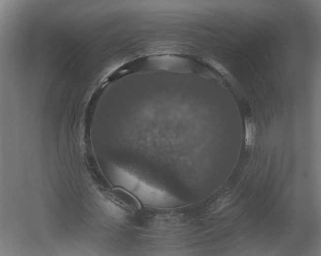 X0000060550627200511070922