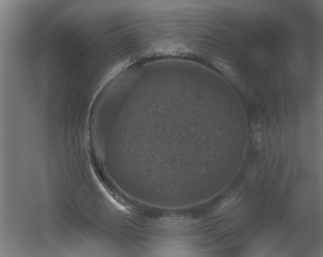 X0000060550630200511070922