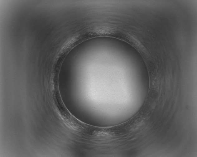 X0000060550635200511070922