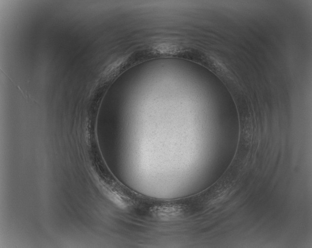 X0000060550639200511070922