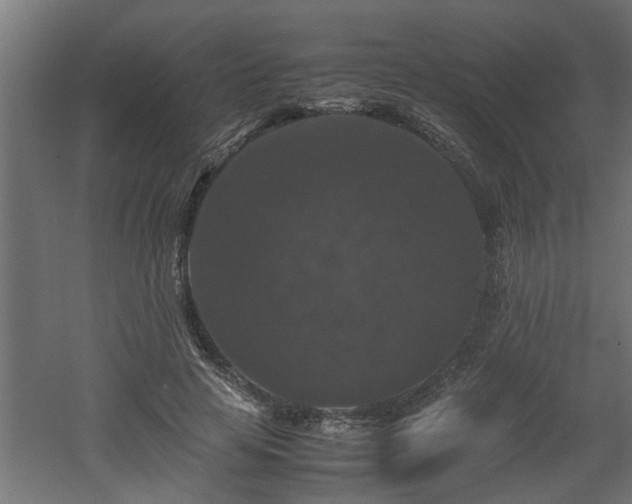 X0000060550641200511070922