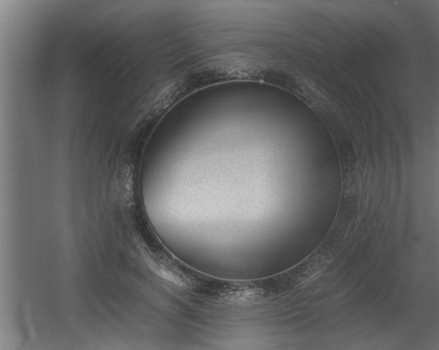 X0000060550646200511070922