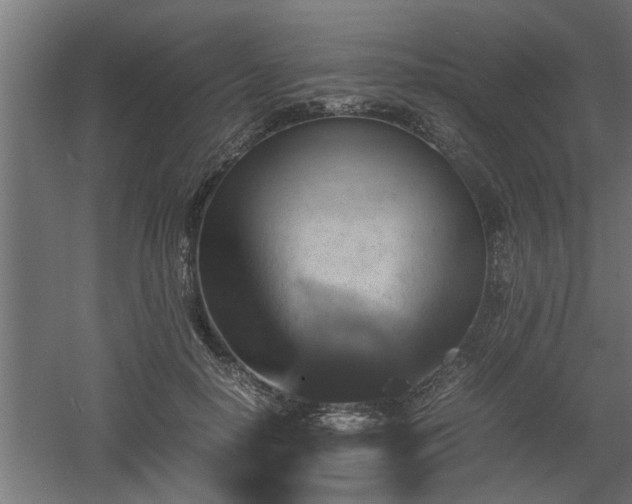 X0000060550650200511070922