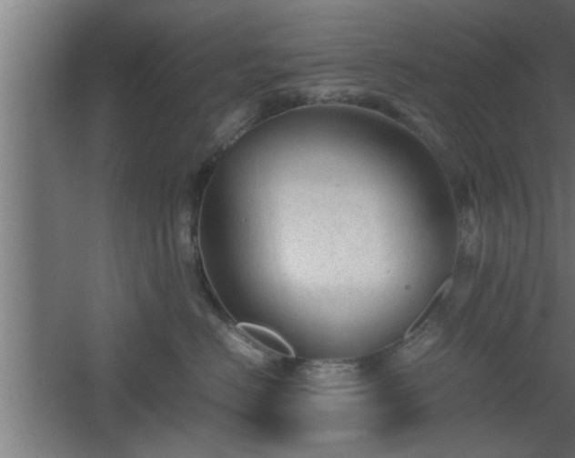 X0000060550670200511070922