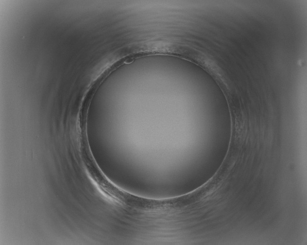 X0000060550674200511070922