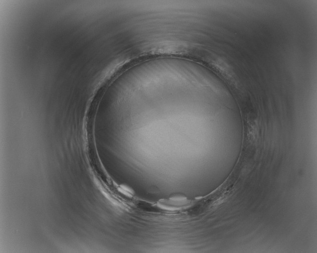 X0000060550678200511070922
