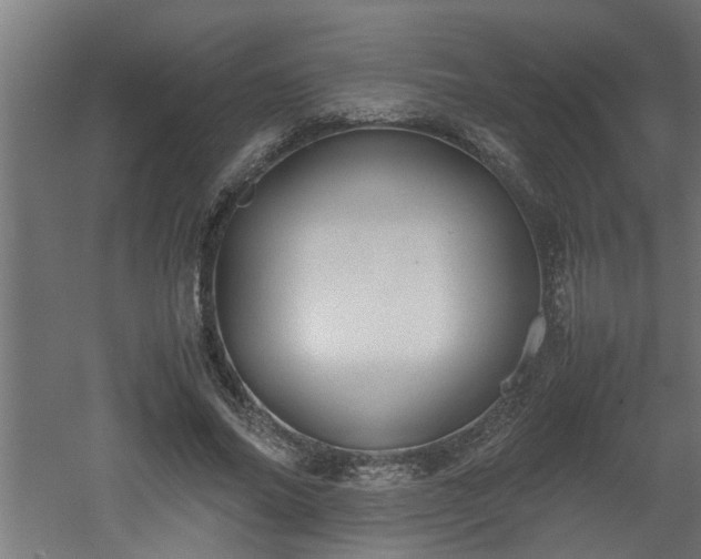 X0000060550686200511070921