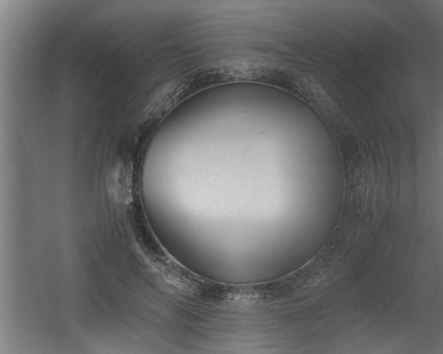 X0000060550694200511070921
