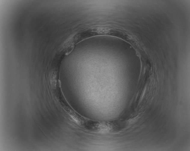 X0000060550697200511070921