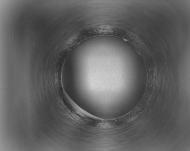 X0000060550704200511070921