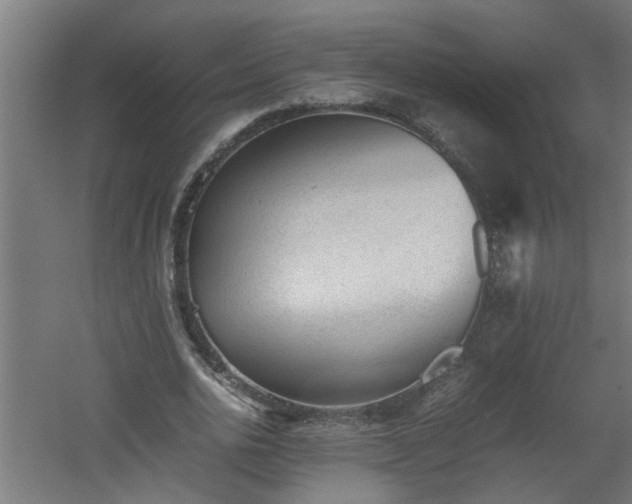 X0000060550726200511070920