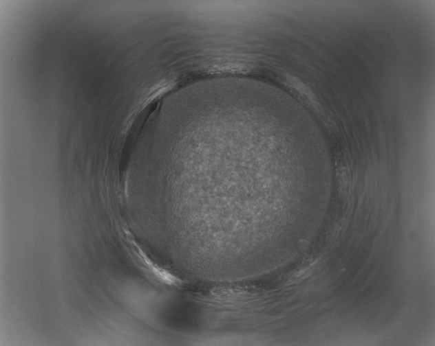X0000060550729200511070920