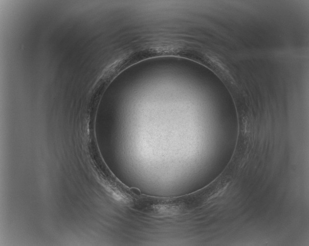 X0000060550733200511070920