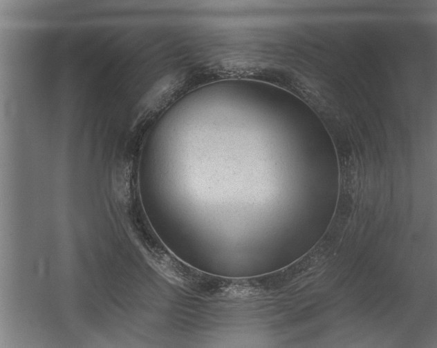 X0000060550742200511070920