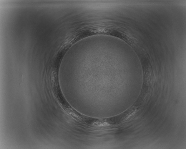 X0000060550747200511070921