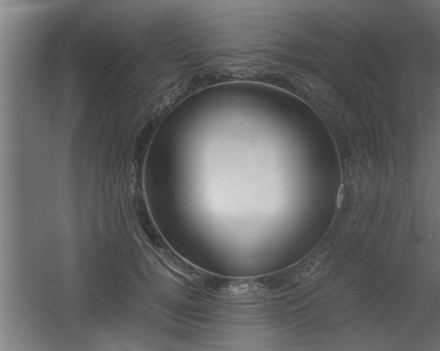 X0000060550752200511070921