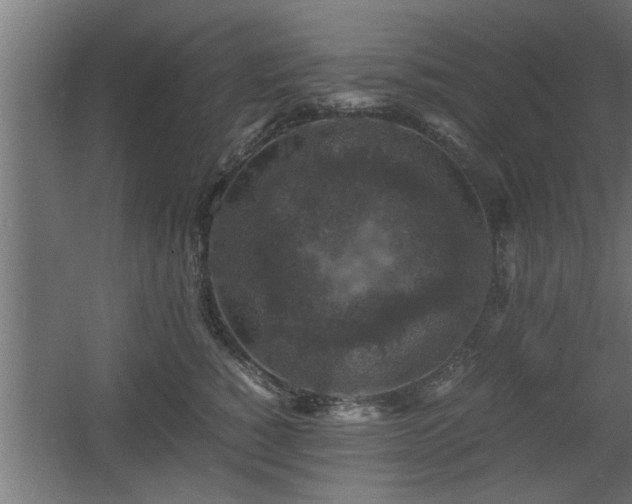 X0000060550760200511070921