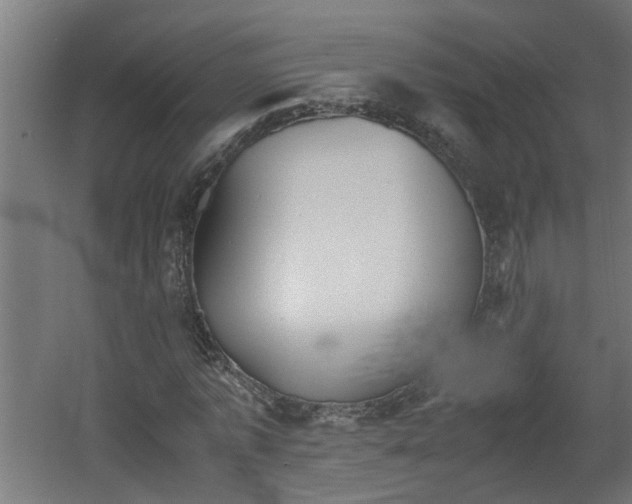 X0000060550773200511070920