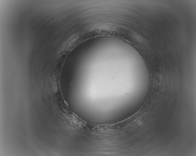 X0000060550774200511070920