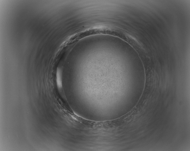 X0000060550776200511070920
