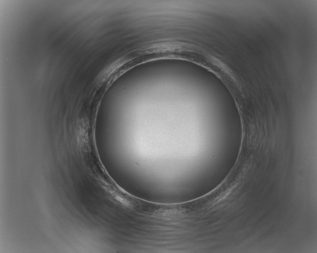 X0000060550778200511070920