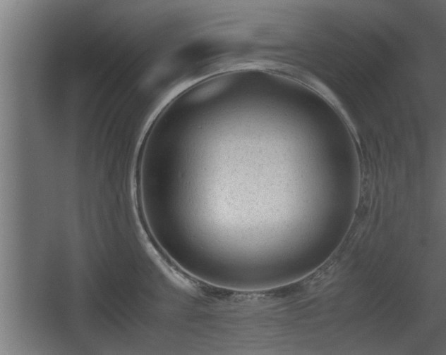 X0000060550811200511070919