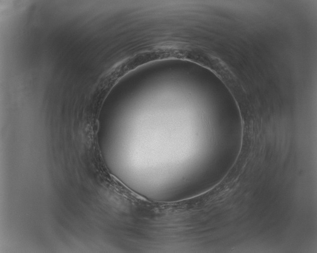 X0000060550821200511070919