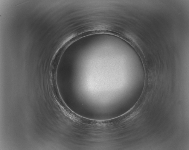 X0000060550827200511070919