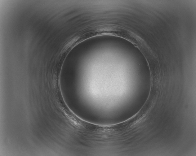 X0000060550833200511070919