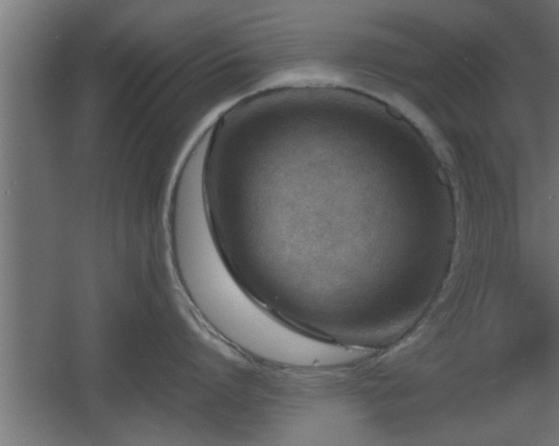 X0000060550864200511070919