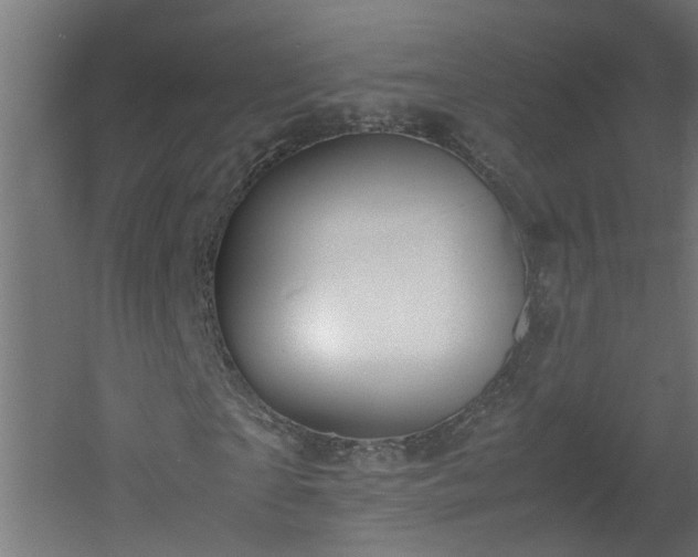 X0000060550865200511070918