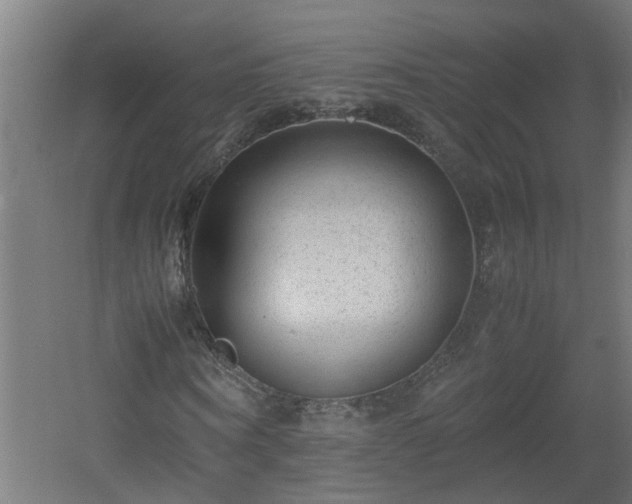 X0000060550866200511070918