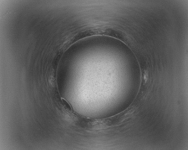 X0000060550867200511070918